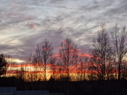 Всего один день