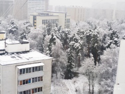 Первый снег. Ура!