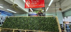 Зеленоградцев приглашают на плетение маскировочных сетей 