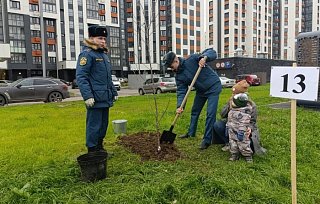 В Зеленограде открыли Аллею в честь 35-летия МЧС России