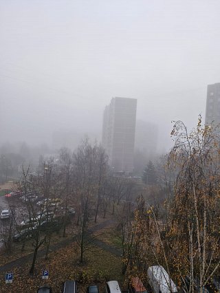 Всего один день, ЗелАО