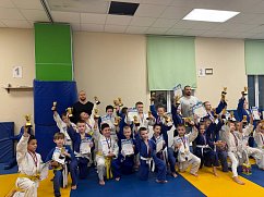 Единороссы Солнечногорска приняли участие в турнире по дзюдо