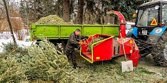 Собянин призвал москвичей сдать новогодние деревья на экологичную переработку