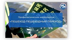 Профилактическое мероприятие «Пешеход – пешеходный переход»