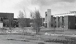 «Доброй памяти преподаватели» – студенты МИЭТа – о своих профессорах