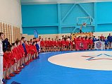 Единороссы Солнечногорска приняли участие в Турнире по самбо