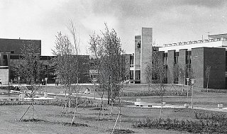 «Доброй памяти преподаватели» – студенты МИЭТа – о своих профессорах