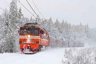 Движение поездов на Ленинградском направлении Октябрьской железной дороги полностью восстановлено в 4:30