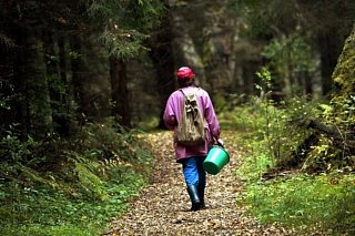 Зеленоградское Управление Департамента ГОЧСиПБ разъясняет: Как правильно ходить в лес осенью