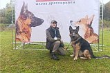Открытие школы дрессировки собак состоялось в Зеленограде