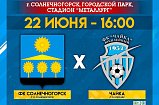 Солнечногорцев приглашают на футбольный матч 22 июня