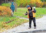 С 1 октября в Зеленограде стартует месячник осеннего благоустройства