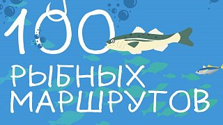 В Подмосковье составили 100 автобусных маршрутов до «рыбных» мест