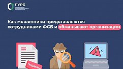 Жителям Подмосковья рассказали о новых способах обмана организаций мошенниками