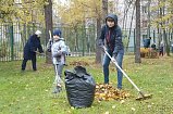 Организации и учреждения примут активное участие в предстоящем субботнике в Зеленограде