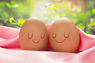 Яйца: полезные свойства и правила употребления