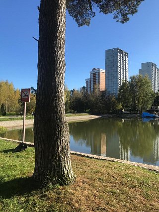 Школьное озеро Зеленограда