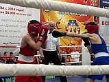 Единороссы Солнечногорска приняли участие в спортивном мероприятии «Открытый ринг»