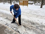 В Подмосковье пройдут субботники по уборке снега