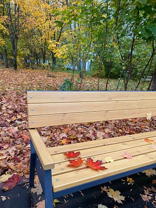 Осенний Зеленоград