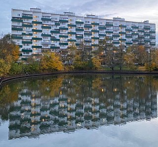 Быково болото, 1 микрорайон Зеленограда
