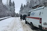 Спасатели «Мособлпожспас» освободили дорогу от поваленного дерева в Солнечногорске