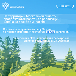 На территории Московской области продолжаются работы по реализации Закона «о лесной амнистии»