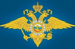 Полицейские Зеленограда задержали подозреваемого в противоправном деянии