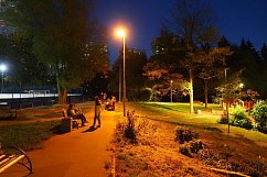 Дорожка через лесопарк от корпуса 1201 к корпусу 1213 вновь освещена