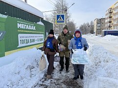 Единороссы Солнечногорска проверили работу площадки МегаБак 