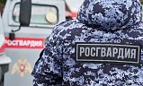 Солнечногорские росгвардейцы задержали подозреваемых в сбыте наркотиков в крупном размере