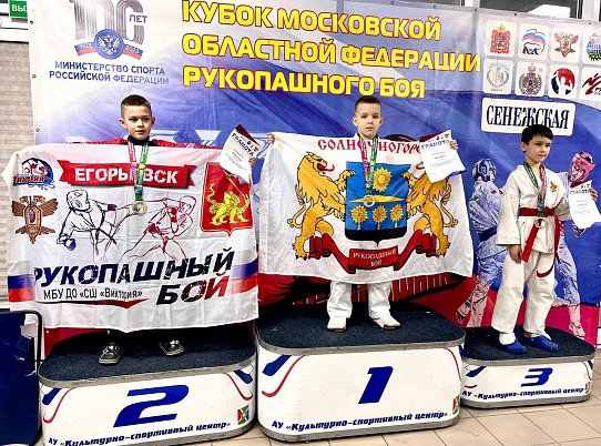 Единороссы Солнечногорска приняли участие в спортивном празднике в Поварово