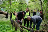 Власти и жители Солнечногорска помогли убрать упавшие деревья