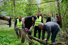 Власти и жители Солнечногорска помогли убрать упавшие деревья