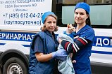 Ситуация с заболеваниями животных в Зеленограде находится под контролем