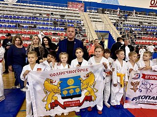 Единороссы Солнечногорска приняли участие во Всероссийских соревнованиях по рукопашному бою