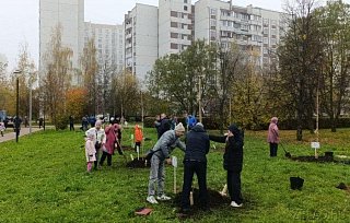 Зеленоградские папы в свой праздник высадили деревья у Михайловского пруда