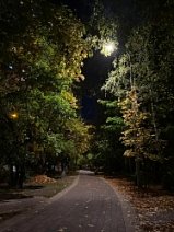 Осенний Зеленограда на фото Яны Тепловой