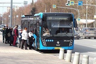 Еще на два зеленоградских маршрута добавлены автобусы