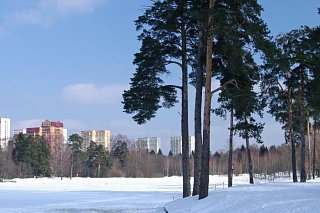 Ледовая обстановка на водоемах Зеленограда