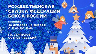 Солнечногорцев приглашают посетить «Рождественскую сказку Федерации бокса России»